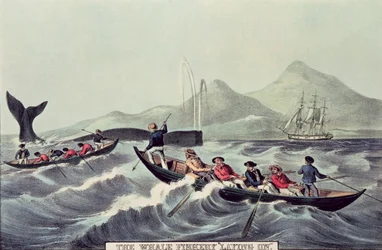 La pesca de ballenas 